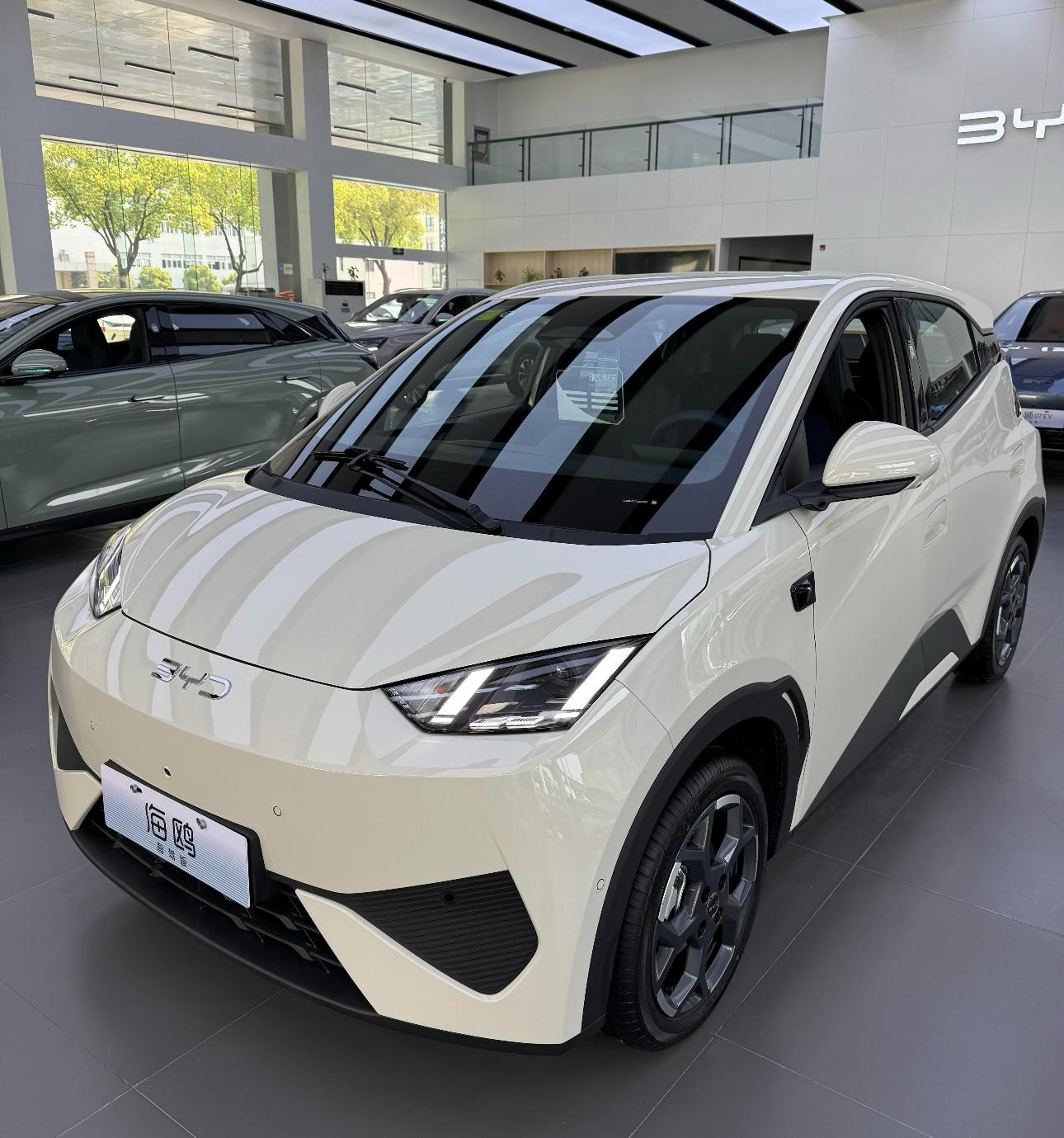 2025 BYD Seagull ADAS 405km Free Edition - Cream White Brand New Car