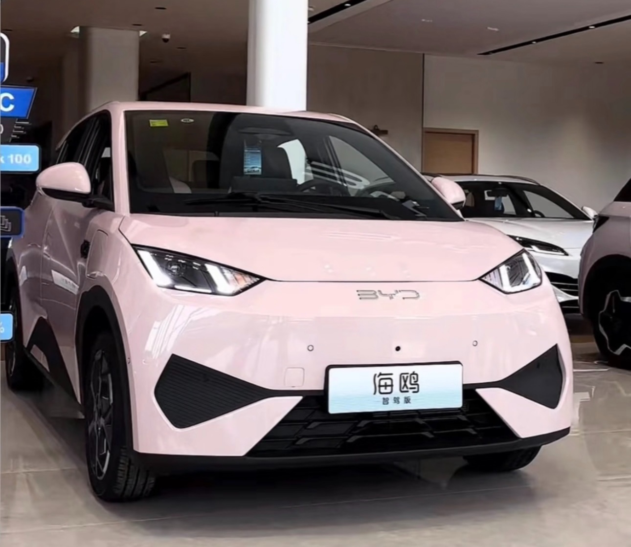 2025 BYD Seagull ADAS 405km Flying Edition - Sakura Pink Brand New Car